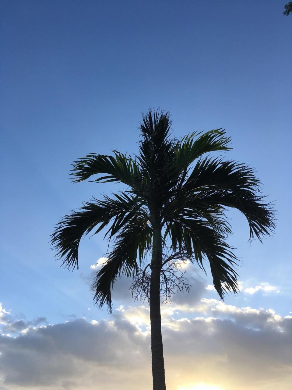 Y' Rise To Hotel Miyakojima Екстериор снимка